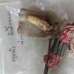 พระทันตธาตุครูบาก๋ง วัดศรีมงคล อ.ท่าวังผา จ.น่าน ได้มาจากคุณวินัย อายุ 84 ปี (บันทึก พ.ศ.2566) อดีตนายอำเภอหลายพื้นที่ ท่านได้พระทันตธาตุนี้มาประมาณปี 2535 จากฆาราวาส ที่เคยรับใช้ครูบาก๋ง ชื่อบุญ (ลุงบุญ) อายุประมาณ 80 กว่าปี บ้านอยู่ใกล้วัดครูบาก๋ง