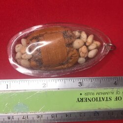 เต่าจีวรพร้อมตะกรุด ๓ ดอก พระธาตุข้าวบิณฑ์ และพระเกศานับร้อยเส้น หลวงปู่ครูบาชัยยะวงศา วัดพระพุทธบาทห้วยต้ม อ.ลี้ จ.ลำพูน เลี่ยมนี้ ได้มาจาก ตุ๊ทอง อดีตเป็นลูกศิษย์ครูบาพระมหาทองสุข วัดบวกครก จ.เชียงใหม่ โดยปัจจุบัน ท่านตุ๊ทอง เป็นเจ้าอาวาสวัดบ้านมอญ