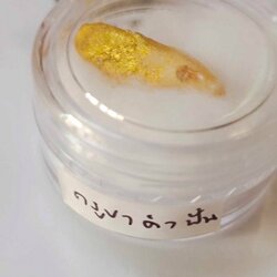 พระทันตธาตุครูบาคำปัน วัดหัวฝาย จ.เชียงใหม่ ได้มาจาก พันโท ปรีชา อดีตนายทหาร จ.เชียงใหม่ ปัจจุบันท่านอายุ 68 ปี (บันทึก พ.ศ.2567) ยังมีชีวิตอยู่ อาศัยอยู่ อ.แม่ริม จ.เชียงใหม่ พ.ท.ปรีชา ได้มาจากเพื่อนทหาร ที่อยู่สังกัดเดียวกัน ชื่อหมวดชาติ ได้มาเมื่อปี 25