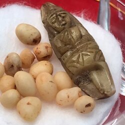 พระทันตธาตุหลวงปู่ครูบาชัยยะวงศา แกะเป็นรูปพระพุทธรูป พร้อมกับพระธาตุข้าวบิณฑ์