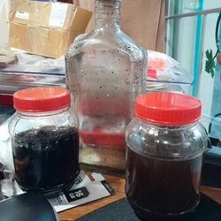 ขวดละ 3500 กากน้ำมันมนต์ และน้ำมันมนต์ ปี 2531 ครูบาสุรินทร์ วัดหลวงศรีเตี้ย ต.ศรีเตี้ย อ.บ้านโฮ่ง จ.ลำพูน ได้มาจากลุงชื่น อายุ 72 ปี (บันทึก พ.ศ.2567) ท่านเป็นคนบ้านศรีเตี้ย เมื่อก่อนนี้ท่านช่วยหามวลสารและช่วยงานพิธีปลุกเสกน้ำมันมนต์