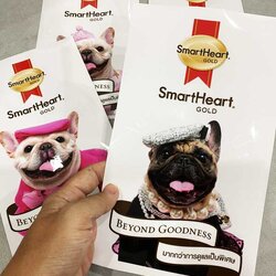 พิมพ์ UV DTF sticker | รับทำ uv dtf transfer 6 - 10 เมตร