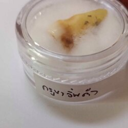 พระทันตธาตุครูบาอิ่นคำ วัดมหาวัน จ.เชียงใหม่ ได้มาจาก พันโท ปรีชา อดีตนายทหาร จ.เชียงใหม่ ปัจจุบันท่านอายุ 68 ปี (บันทึก พ.ศ.2567) ยังมีชีวิตอยู่ อาศัยอยู่ อ.แม่ริม ท่านได้พระทันตธาตุ ครูบาอิ่นคำ เมื่อปี 2557 ท่านเคยรับใช้และนับถือครูบาอิ่นคำ