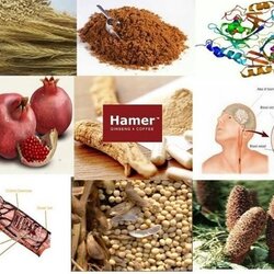 ร้านขายลูกอมสมุนไพร โสม เพื่อสุขภาพ Hamer Candy