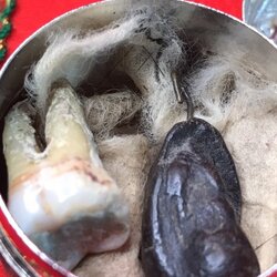 พระทันตธาตุหลวงปู่ครูบาอภิชัยขาวปี วัดผาหนาม จ.ลำพูน