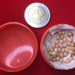 พระเกศาแลพระธาตุข้าวบิณฑ์ หลวงปู่ ครูบาชัยยะวงศา วัดพระพุทธบาทห้วยต้ม ชุดนี้ได้มาจากชาวกะเหรี่ยงรุ่นลูกละแวก วัดพระพุทธบาทห้วยต้ม เก็บมาสมัยคุณ พ่อ ตอนนี้คุณพ่อเจ้าของเดิมท่านสิ้นไป