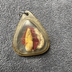 พระทันตธาตุครูบาดวงดี วัดท่าจำปี จ.เชียงใหม่ ร.ต.อ.พิทักษ์ ได้มาจากอดีตพ่อกำนันคม อายุ 72 ปี เคยเป็นกำนันใน อ.ดอยหล่อ จ.เชียงใหม่ ระหว่าง ปี 2552-2560 พ่อกำนันคม เป็นลูกศิษย์ครูบาดวงดี วัดท่าจำปี พ่อกำนันได้รับพระทันนตธาตุนี้มาเมื่อปี 2553