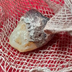 พระทันตธาตุและมีดหมอ ครูบาอิ่นแก้ว วัดสันลิมไม้ อ.แม่สาย จ.เชียงราย ชุดนี้ได้มาจากลุงหนายชัย ซึ่งได้ทั้งพระทันตธาตุและมีดหมอ มาจากศิษย์รับใช้ครูบาอิ่นแก้ว ชื่อลุงแดง ท่านเสียแล้วปี 2550 พระทันตธาตุเก็บไว้ในกระบอกไม่ไผ่ มีชิ้นผ้ารองพระทันตธาตุอยู่