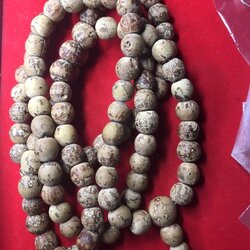 ประคำลูกลาน 108 เม็ด แบบนำลูกลานทั้งเม็ดมาร้อยเป็นประคำ (ไม่ทันหลวงปู่ครูบาวงศ์) ได้มาจากกะเหรียงชาวห้วยต้ม เรียกว่าลุงวาโพ ให้ข้อมูลว่าได้มาจากอดีตพระวัดห้วยต้มเมื่อตอนปี 2549-2550 ตอนที่พระรูปนั้นอายุประมาณ 42 ปี แต่ได้สึกแล้วเมื่อประมาณปี 2557