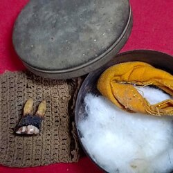 พระทันตธาตุครูบาอ้าย วัดสะปุ๋งน้อย จ.ลำพูน ชุดนี้ได้มาจากท่านที่ชื่อว่า หมวดเอ๋ ท่านเป็นตำรวจ เจ้าของเดิมคือคุณพ่อของท่าน ชื่อ สมบัติ ชาวบ้านเรียกกันว่า พ่อสม พ่อสมท่านเป็นชาวบ้านป่าซาง อ.ป่าซาง จ.ลำพูน ท่านสิ้นเมื่อปี ๒๕๖๔ เมื่ออายุ 98 ปี