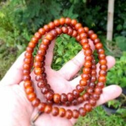 ประคำลูกหวาย ครูบาชัยยะวงศา ของคุณลุงติ๊ลอย เมื่อ 2 ปีก่อน ผมได้มีโอกาสรับประคำพร้อมกับ งl ช้าง เส้นหนึ่ง มาคราวนี้คุณลุงติ๊ลอยได้ให้ประคำลูกหวายมาเส้นหนึ่ง ซึ่งเป็นของคุณพ่อของคุณลุง คุณลุงตั้งใจเก็บประคำเส้นนี้ไว้ ผมก็เช่าบูชามาด้วยความยินดี