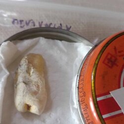 พระทันตธาตุ ครูบาบุุญเลย วัดดอนแก่ง จ.น่าน ได้มาจากคุณวินัย อายุ 84 ปี อดีตนายอำเภอ หลายพื้นที่ คุณวินัย ได้พระทันตธาตุจากคุณสาธิต นำมามอบให้ในปี 2548 คุณสาธิต เป็นลูกศิษย์ครูบาบุญเลย และเคยเป็นลูกน้องคุณวินัย ปัจจุบันอายุกว่า 60 ปีแล้ว