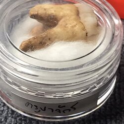 พระทันคธาตุุครูบาจักร วัดทุ่งโป่ง อ.บ้านโฮ่ง จ.ลำพูน ได้มาจากพ่อหลวงนิด หรือผู้ใหญ่บ้านบ้านเหล่ายาว อ.บ้านโฮ่ง จ.ลำพูน ปัจจุบันอายุ 58 ปี (บันทึก พ.ศ.2567) ท่านได้รับสืบต่อมาจากพ่อของท่่านชื่อพ่ออุ้นหนานปัน หากมีชีวิตอยู่จนปัจจุบันจะมีอายุ 95 ปี