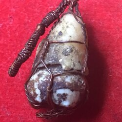 พระทันตธาตุ ครูบาดวงทิพย์ วัดสันป่ายาง อ.แม่แตง จ.เชียงใหม่ องค์นี้เจ้าของเดิมคือ พ่อหนานคำ เป็นหมอยารักษาแบบพื้นบ้านล้านนา เสียชีวิตแล้วเมื่อปี 2530 ต่อมาได้สืบทอดตกมาอยู่ที่จ่าณรงค์ เป็นตำรวจอยู่ อ.แม่แตง จ.เชียงใหม่ ปัจจุบันอายุ 58 ปี (พ.ศ.2566)