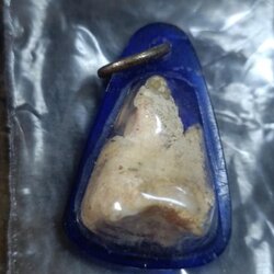 พระทันตธาตุ ครูบาปัน วัดแม่ยะ จ.ตาก ได้มาจากคุณลุงประชา อายุ 74 ปี ยังมีชีวิตอยู่ (บันทึก พ.ศ.2567) เคยสอนโรงเรียนตากพิทยาคมและย้ายไปสอนใน จ.ตาก คุณลุงประชา ได้สืบทอดพระทันตธาตุ มาจากคุณพ่อประสิทธิ์ อายุ 90 กว่าปี ปัจจุบันเสียชีวิตแล้ว เมื่อปี 2548