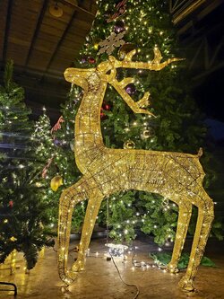 กวางไฟประดับ งานเลี้ยงวันคริสต์มาสยอดนิยม ใหญ่2เมตร