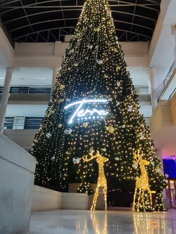 ให้เช่าต้นคริสต์มาสปลอมกรวย ขนาด12เมตร พร้อมตกแต่งครบมาตราฐาน