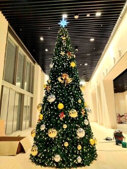 ให้เช่าต้นคริสต์มาสปลอมกรวย ขนาด 5เมตร พร้อมตกแต่งครบมาตราฐาน