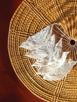 รังนกปลาหมึก รักนกแท้ รังนกแห้ง รังนกทำความสะอาดเสร็จ พร้อมปรุง