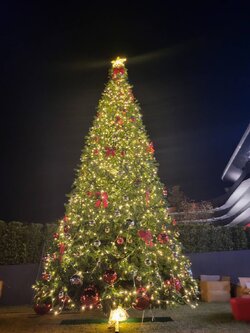 ต้นคริสต์มาสปลอมทรงสน ขนาด 20ฟุต พร้อมตกแต่งราคาประหยัด