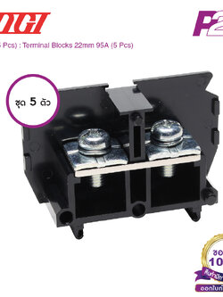PT-90 (5 pcs) : เทอมินอลบล็อค (แพ็ค5ตัว) 95A / 22mm² (UL 95A) AWG8~4 (Screw) M6 - Togi / Toyogiken - Terminal Block by pik2pak.com #ซื้อเป็นแพ็คถูกกว่า