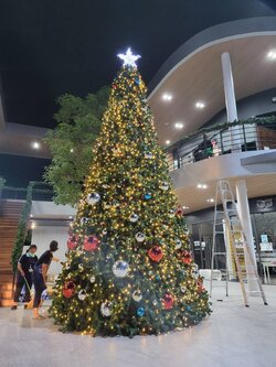 ต้นคริสต์มาสปลอมทรงกรวย 6เมตร พร้อมของตกแต่ง