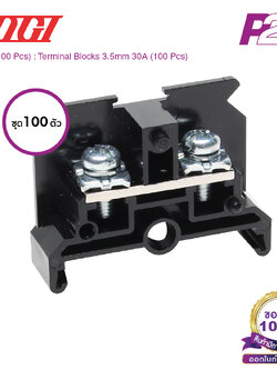 PT-30 (100 pcs) : เทอมินอลบล็อค (แพ็ค100ตัว) 30A / 3.5mm² (UL 30A) AWG18~12 (Screw) M4 - Togi / Toyogiken - Terminal Block by pik2pak.com #ซื้อเป็นแพ็คถูกกว่า