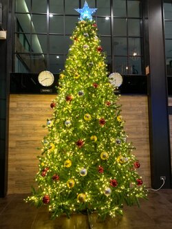 ให้เช่าต้นคริสต์มาสปลอม ขนาด12ฟุต พร้อมตกแต่งครบมาตราฐาน