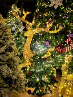 กวางคริสต์มาสไฟขนาด 1.5เมตร