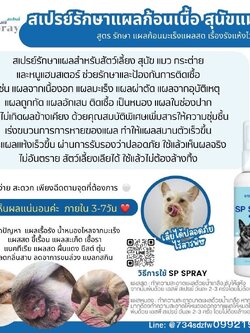 SP Spray เอสพี สเปรย์ สเปรย์สำหรับแผลก้อนเนื้อ สุนัข แมว กระต่าย หนูแฮมเตอร์ แผลก้อนมะเร็ง แผลสด แผลเรื้อรัง ป้องกันแผลติดเชื้อ สมานแผลแห้งไว ลดกลิ่นอับ
