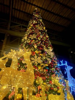 ต้นคริสต์มาสปลอม20ฟุตพร้อมSET-ของตกแต่งยอดนิยม"รวมใต้ต้น"