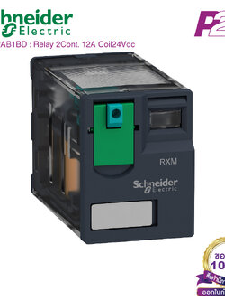 RXM2AB1BD : 2 คอนแทค 12A 24VDC - Schneider Relay รีเลย์ by pik2pak.com