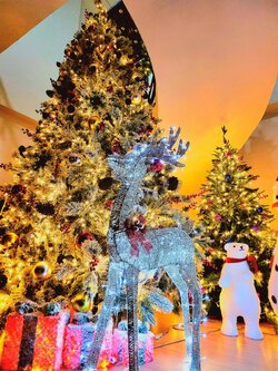 รูปแบบต้นคริสต์มาสปลอมในปี"ล่าสุด"