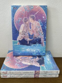 [YAOI] จุมพิตใต้แสงจันทร์ เล่มเดียวจบ ... Sano Fuyuko (มือหนึ่งขีดสัน) นิยายวาย มีดี Meedee