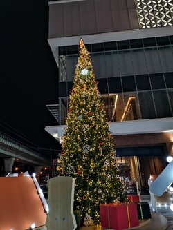 ให้เช่าต้นคริสต์มาสปลอม ขนาด30ฟุต พร้อมตกแต่งครบมาตราฐาน