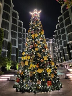 ให้เช่าต้นคริสต์มาสปลอมกรวย ขนาด 6เมตรพร้อมตกแต่งครบมาตราฐานแน่น