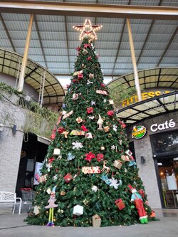 ต้นคริสต์มาสทรงกรวย ขนาด 6เมตร ขนาดใหญ่พร้อมของตกแต่ง