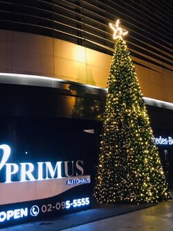 ให้เช่าต้นคริสต์มาสปลอมกรวย ขนาด8เมตร พร้อมตกแต่งครบมาตราฐาน