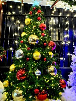 ให้เช่าต้นคริสต์มาสปลอม ขนาด10ฟุต พร้อมตกแต่งครบมาตราฐาน