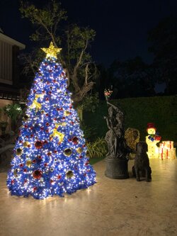 ให้เช่าต้นคริสต์มาสปลอมกรวย ขนาด3เมตร นํ้าเงิน พร้อมตกแต่งครบมาตราฐาน