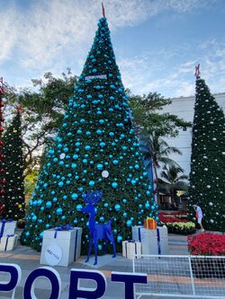 รวมต้นคริสต์มาสขนาดใหญ่ ใครอยากจัดสวนคริสต์มาสที่นี่เลย