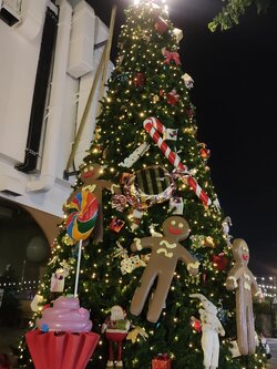 ให้เช่าต้นคริสต์มาสปลอมกรวย ขนาด6เมตร พร้อมตกแต่งครบมาตราฐาน