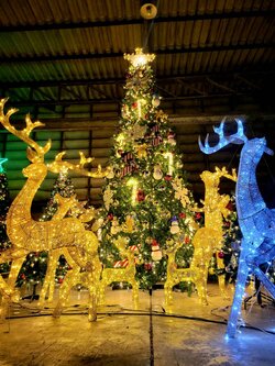 SET รวมครบจบ 4.5เมตร และของตกแต่งใต้ต้น