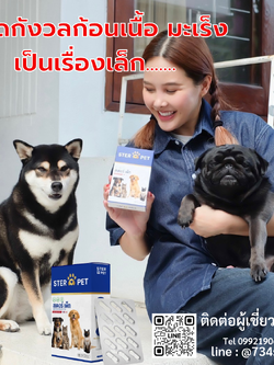 เซตแนะนำ (ชุด 1 เดือน) สเตอร์ เพ็ท Ster Pet เนื้องอกหมาแมว ก้อนเนื้อหมาแมว มะเร็งสุนัขแมว ลดอักเสบ ลดขนาดก้อนเนื้อ ซึม ไม่ร่าเริง เบื่ออาหาร น้ำหนักลด ไตวายหมาแมว แผลยุบเร็ว ( 30 แคปซูล)