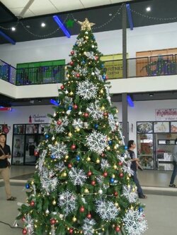 ให้เช่าต้นคริสต์มาสปลอม ขนาด15ฟุต พร้อมตกแต่งครบมาตราฐาน