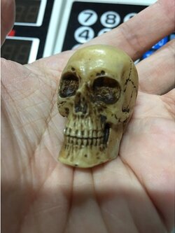 หัวกระโหลก จำลอง งานเรซิ่น ใช้ประกอบฉาก GK Resin Skeleton Skull