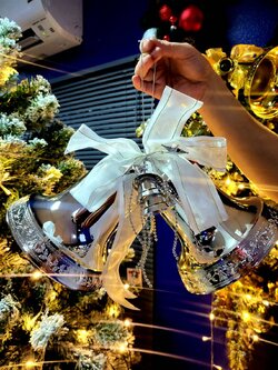 ระฆังคู่ ยาว15cm. กว้าง 30cm.