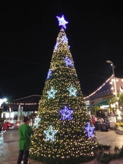 ให้เช่าต้นคริสต์มาสปลอมกรวย ขนาด5เมตร พร้อมตกแต่งครบมาตราฐาน