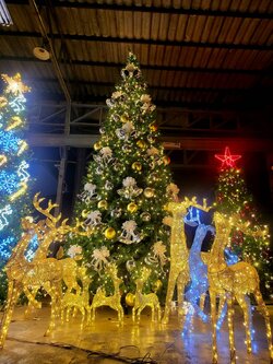 ต้นคริสต์มาส6เมตรกับของประดับทั้งตัวต้นและใต้ต้นคริสต์มาส