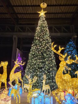 ให้เช่าต้นคริสต์มาสปลอมกรวย ขนาด5เมตร พร้อมตกแต่งครบมาตราฐาน